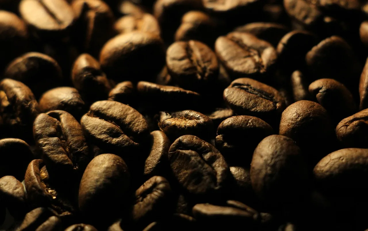 coffee beans, coffee, grains, seeds, caffeine, coffee, coffee, coffee, coffee, coffee. Heritage pantry products need a provenance check before a shop places its first order