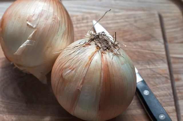 onions, vidalia, food, vegetable, produce, fresh, dinner, bulb, brown dinner, brown onion, vidalia, vidalia, vidalia, vidalia, vidalia. How to Check the Origins of Regional American Foods