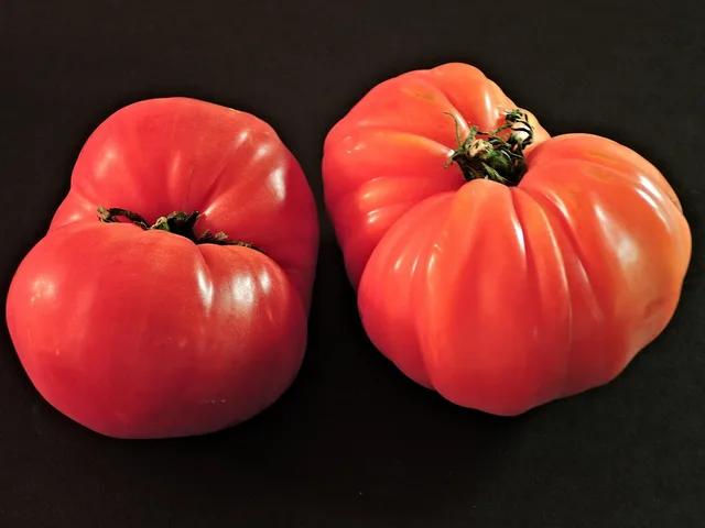 tomatoes, zapotec pleated, heirloom, fresh, seasonal, vegetable fruit, food, heirloom, heirloom, heirloom, heirloom, heirloom. Producer claims compared with what a heritage pantry category can actually support