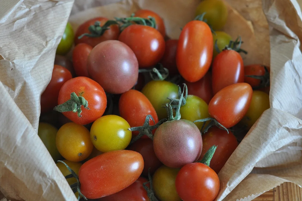 tomatoes, cherry tomatoes, heirloom tomatoes, vegetables, vitamin, organic, tomatoes, tomatoes, cherry tomatoes, cherry tomatoes, cherry tomatoes, heirloom tomatoes, heirloom tomatoes, heirloom tomatoes, heirloom tomatoes, heirloom tomatoes. 5 points worth checking on heritage pantry products