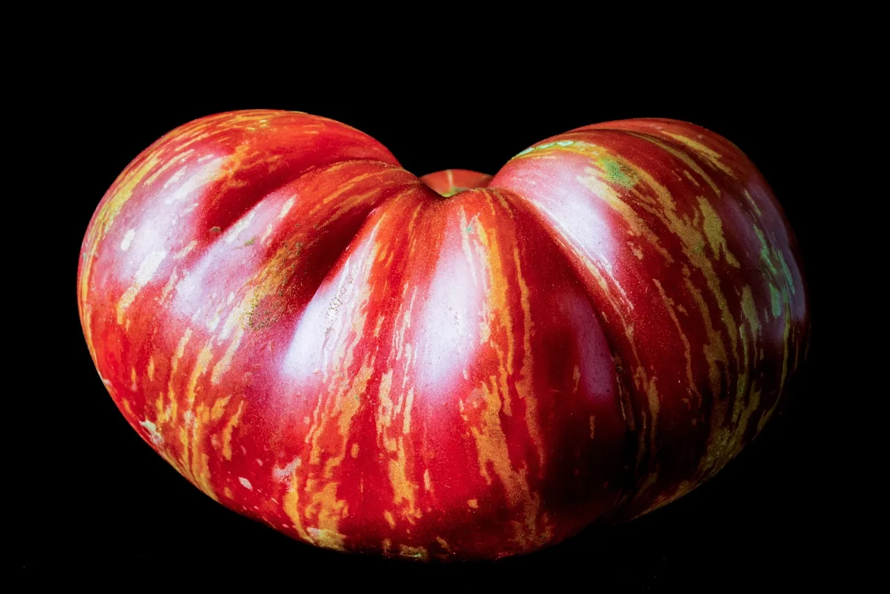 heirloom tomato, isolated, on black background, heirloom tomato, heirloom tomato, heirloom tomato, heirloom tomato, heirloom tomato. 5 things to weigh up on heritage pantry products