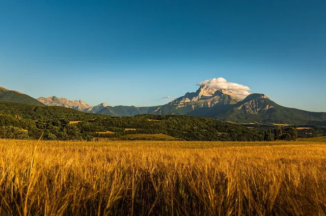 la mure village, france, barley field, sorghum, mountains, nature, countryside, brick season. Why State Food Specialties Makers Depend on a Narrow Window