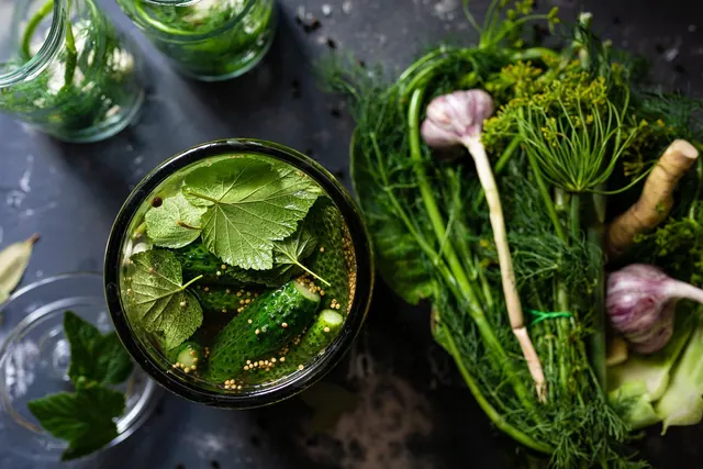 pickled, cucumbers, vegetable, nature, leaves, water, jar, pickle, dill, garlic, organic, food, preservation, healthy, nutrition