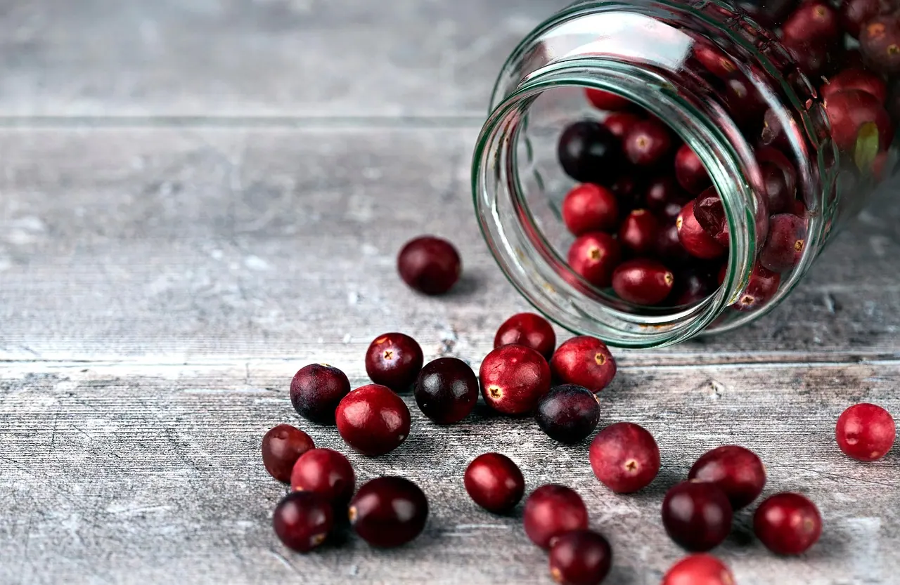 cranberries, berries, fruits, jar, food, ripe, organic, produce, fresh, healthy, food photography, cranberries, cranberries, cranberries, cranberries, cranberries