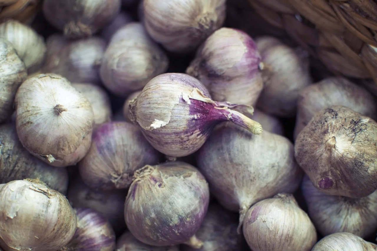 instagram, blog, social, media, foodie, onion, garlic, fresh, produce, farmer, market, food, table, basket, goods, smell, taste, sensation, russian, browsing, delicious, gourmet, dinner, cuisine, meal, social media, eating, diet, social network, social networking, recipe, nutrition, ingredient, cooking, chef, healthy, casual, appetite, wellness, snacks, restaurant, calories, organic, menu, peeling, skin, freshness, vegan, vegetarian, vegetable, foods, leaf, peel, natural, nature, tasty, treat, texture. How the USDA Local Food Marketing Practices Survey shapes what small brands know