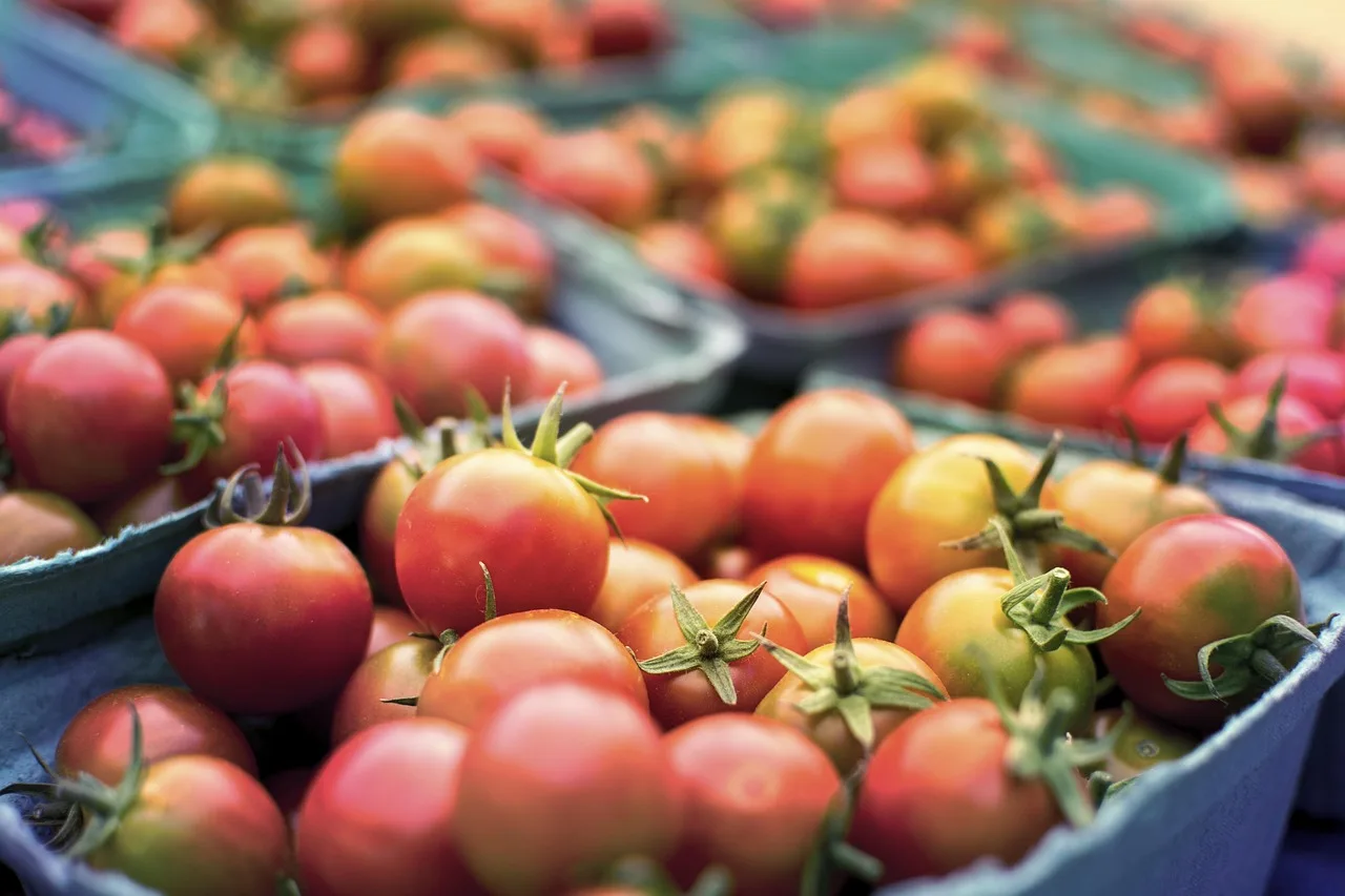 tomato, healthy, health, produce, grocery, farm, table, market, trade, orange, fresh, organic, food, diet, natural, vegetable, agriculture, harvest, vegetarian, green, ingredient, store, supermarket, nutrition, group, raw, nature, retail, ripe, onion, heap, shop, garden, colorful, wooden, product, vitamin, summer, greens, salad, chard, swiss, purple, farmer, juicy, sweet, tasty, freshness, leaf, delicious, plant, community, security, gardening, hungry, crisp, dinner, eat, traditional, kitchen, lunch, meal, dish, cook, eating, vegan, plate, cooking, snack, home, okanagan, bc, british, columbia, canada, kelowna, penticton, valley, myra, canyon, instagram, blog, social, media, foodie, tomato, tomato, health, health, grocery, grocery, grocery, grocery, farm, market, trade, agriculture, store, supermarket, supermarket, supermarket, supermarket, supermarket, retail, shop, product, farmer, community, community, cooking, instagram, instagram. Regional American Foods Labels: Four Core Elements