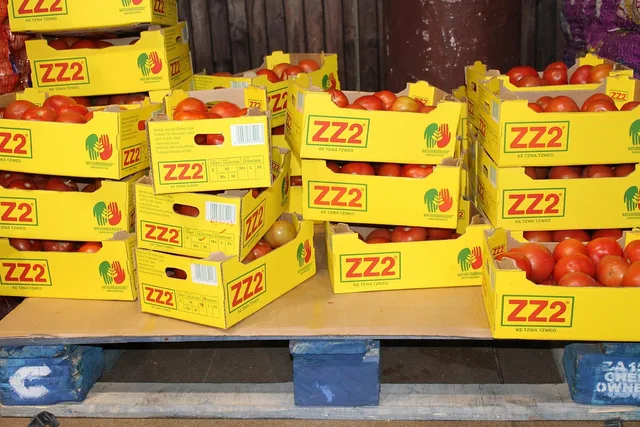 food, wood pallets, industry, wholesale, boxed tomatoes, storage, cargo holding, grocery, wholesale, wholesale, wholesale, wholesale, wholesale. What to look for when reviewing a regional food subscription, in plain terms